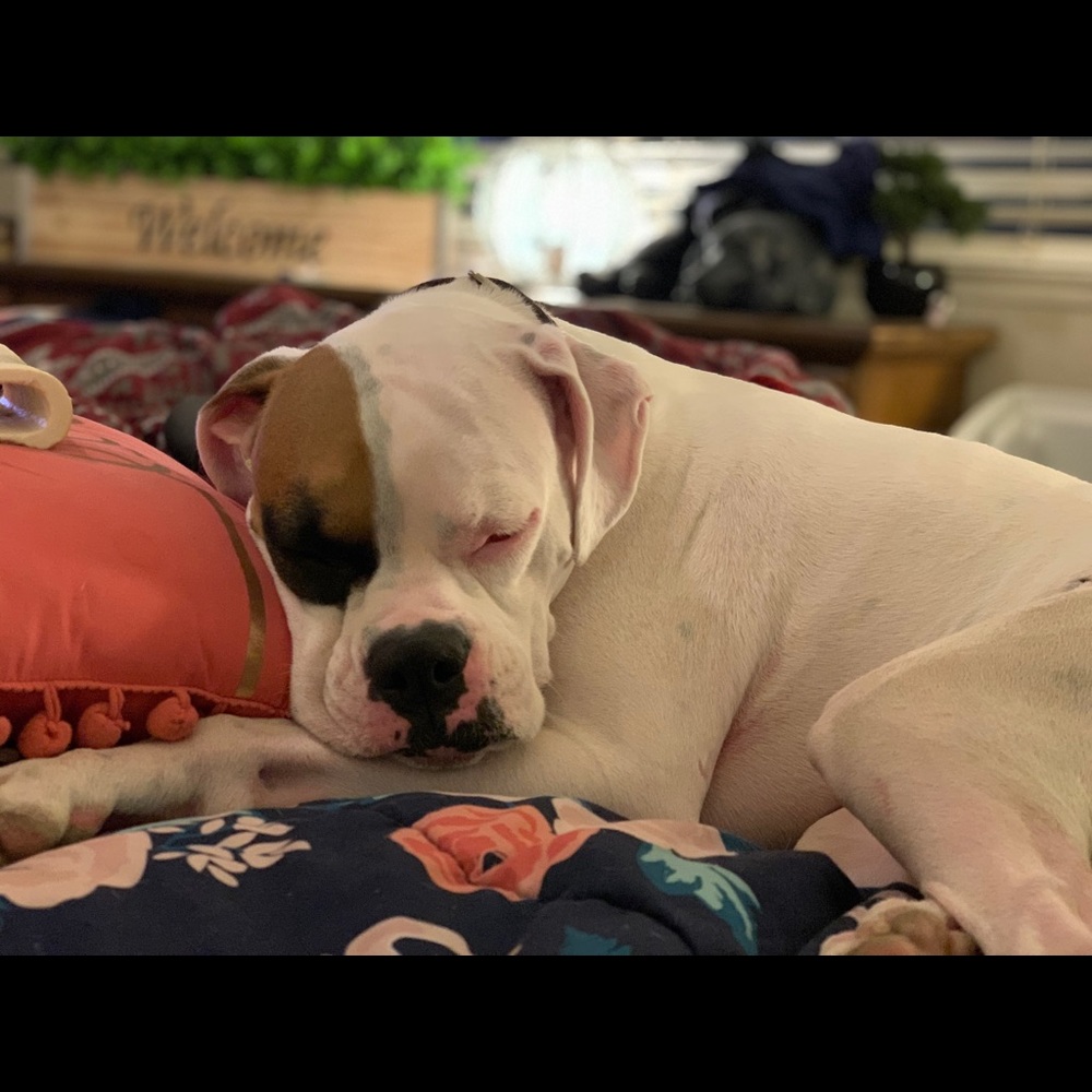 Meet your Posher, Jennifer